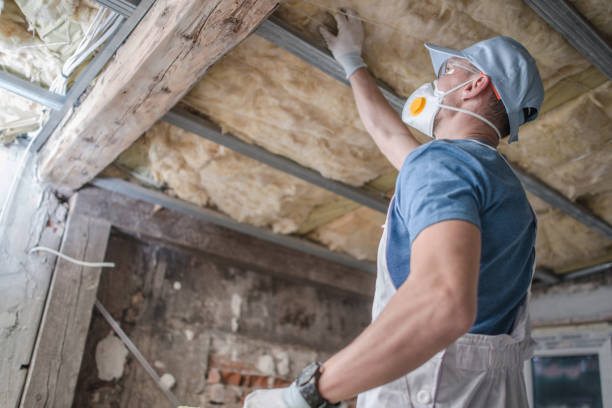 Best Commercial Insulation Services  in Atkins, VA